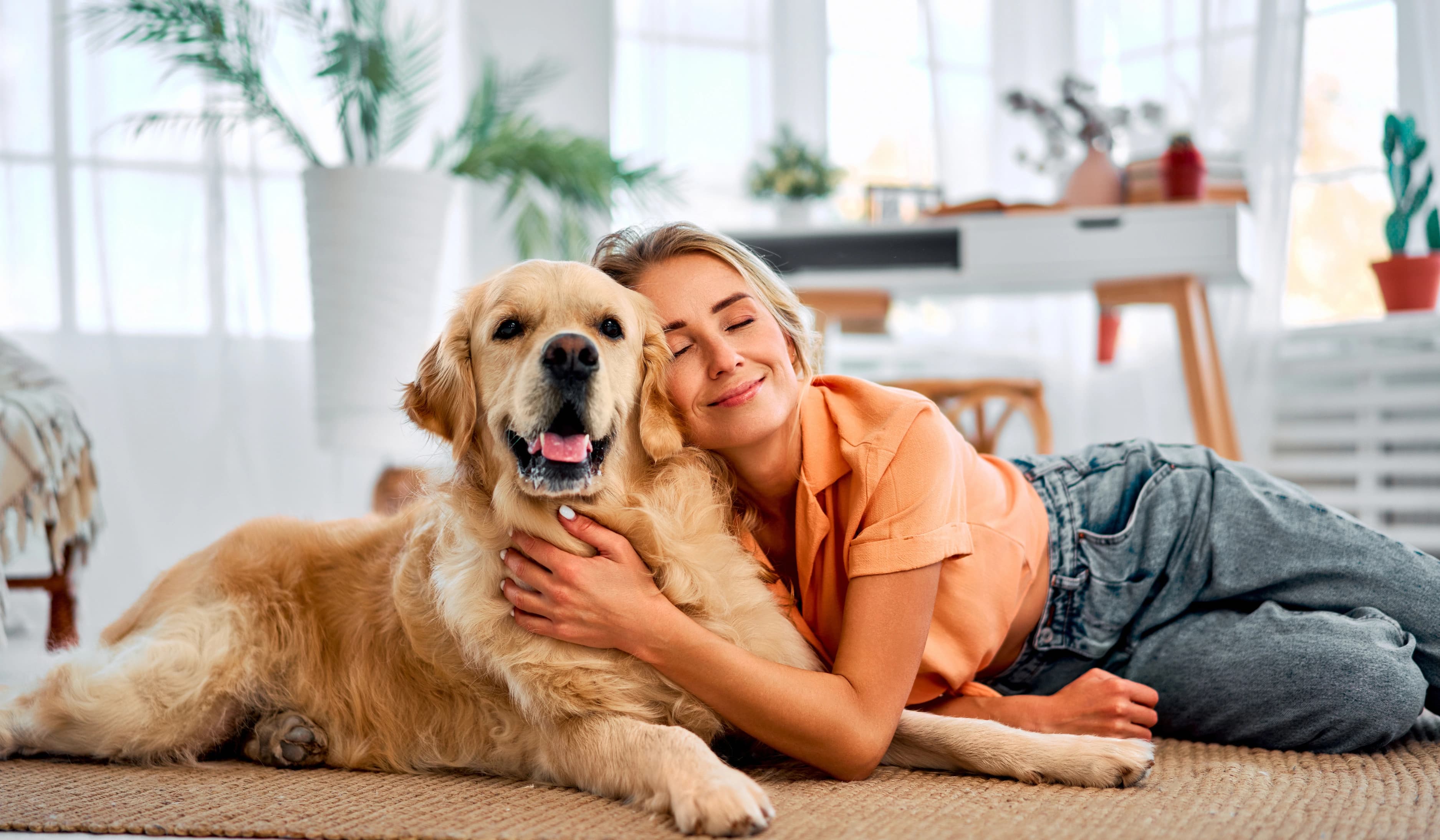 Tutor acompañando a su mascota para acceso dueño