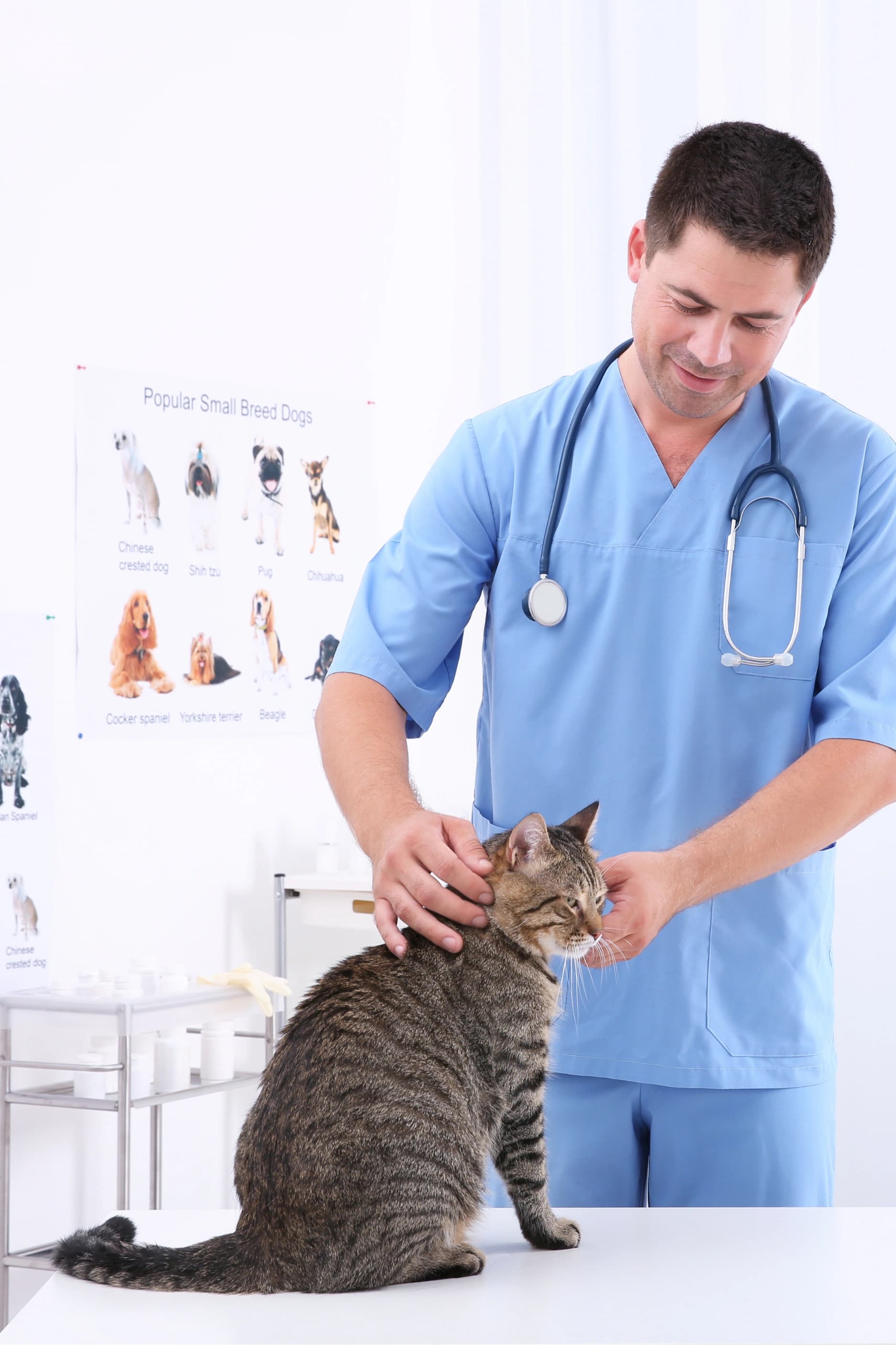Doctora veterinaria abrazando a un golden retriever
