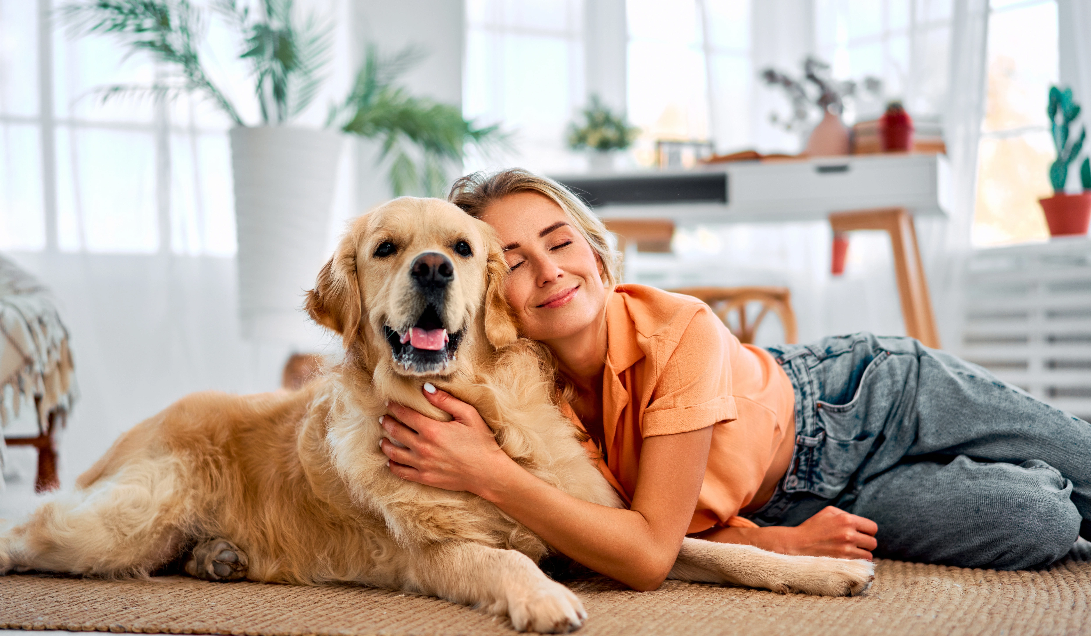 Tutor acompañando a su mascota para acceso dueño