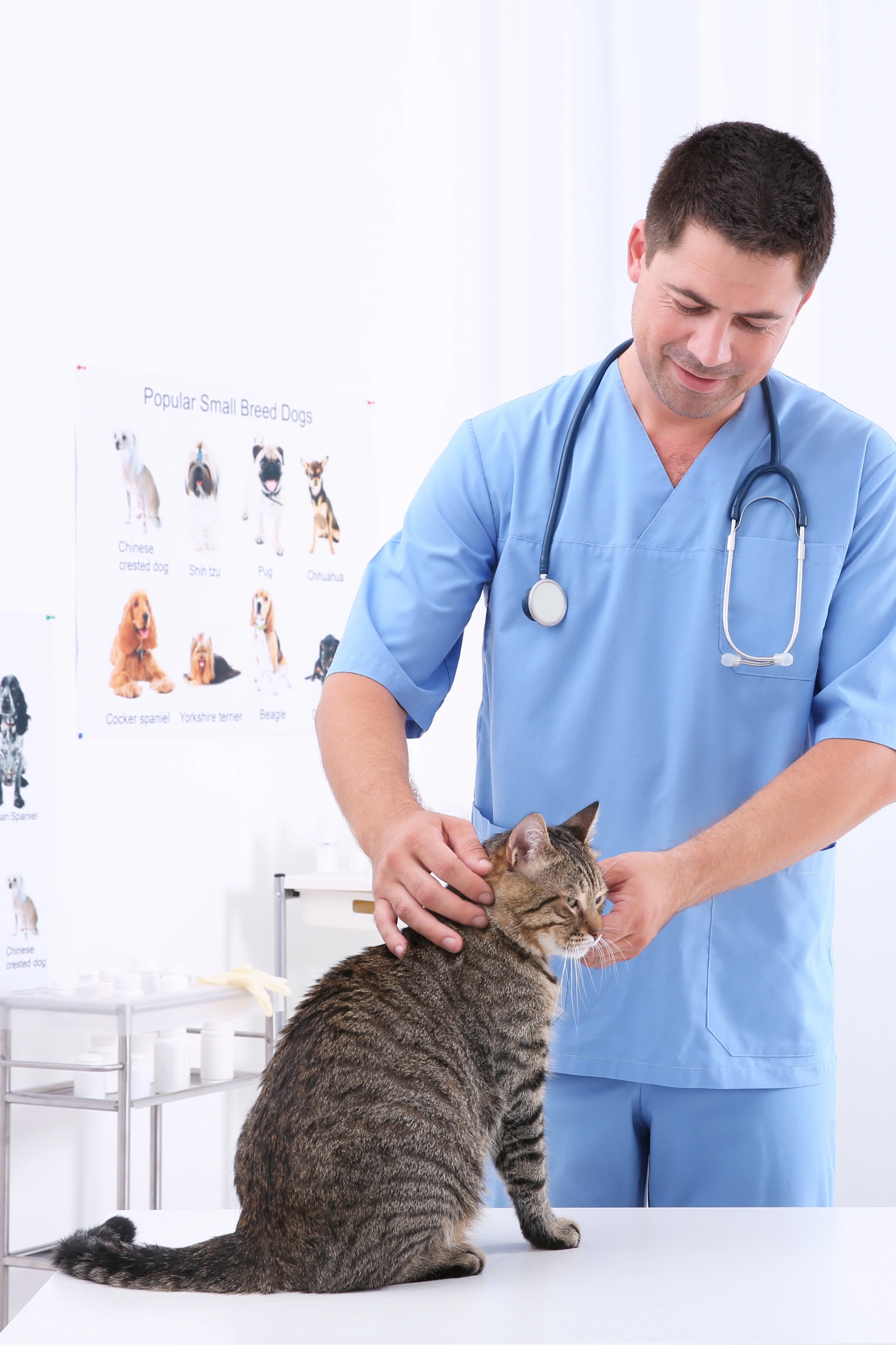 Doctora veterinaria abrazando a un golden retriever